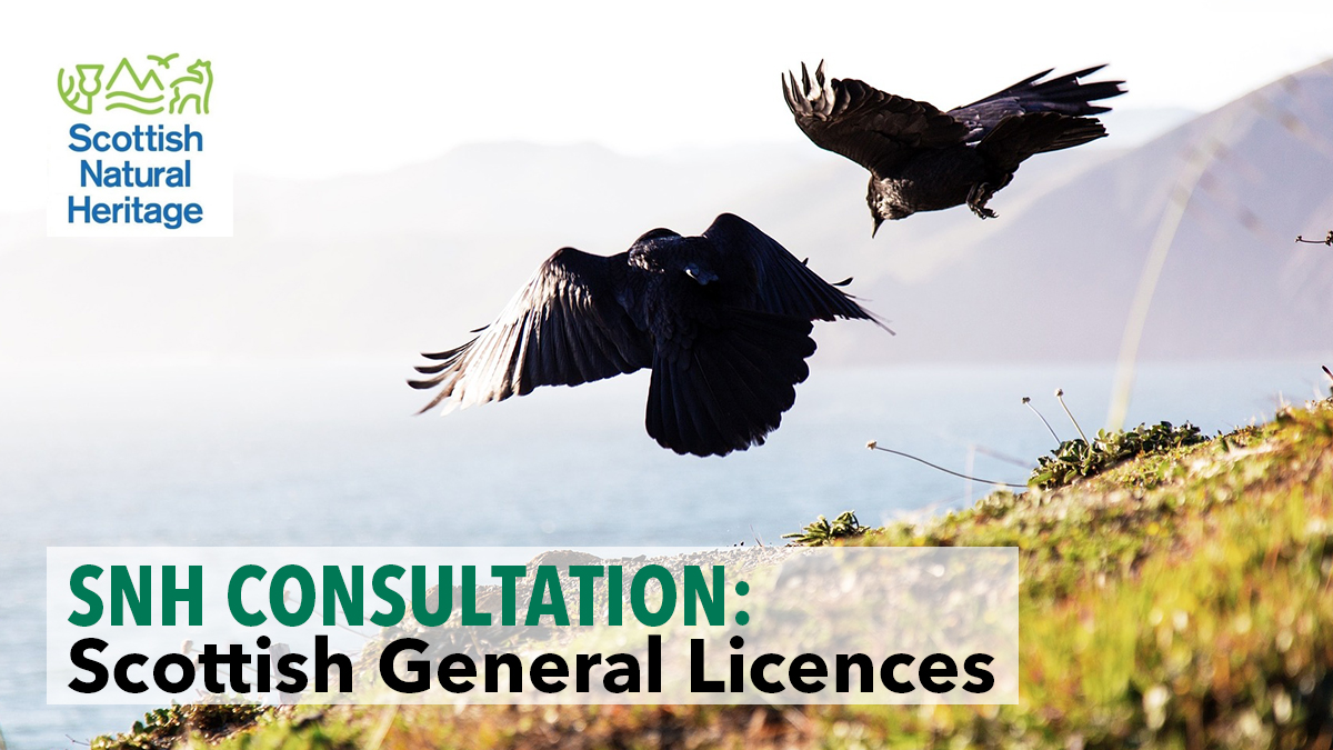 SNH consultation Scottish general licences SNH consultation Scottish general licences